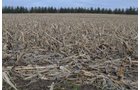 Property photo 79 - 98+/- Acres Offered in 6 Tracts or Combinations, Noble County, Indiana Farm